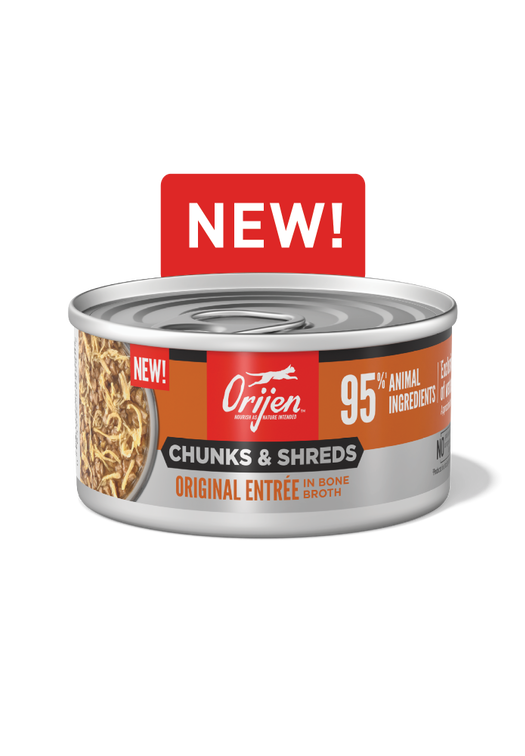 Canned cat food without chicken cheap